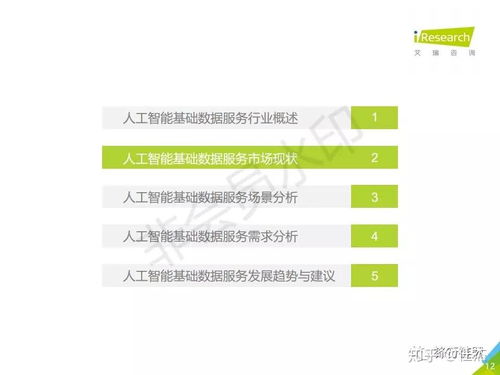2019年中國人工智能基礎(chǔ)數(shù)據(jù)服務(wù)白皮書 驅(qū)動(dòng)智能未來的核心基石